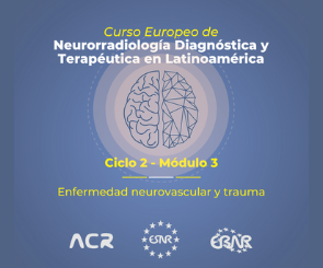Curso Europeo de Neurorradiología Diagnóstica e Intervencionista en Latinoamérica (ECNR LA)